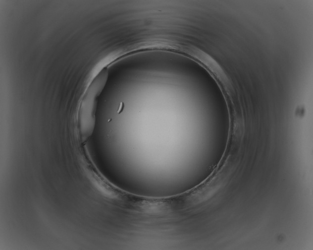 X0000096651242200802051147