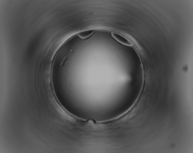 X0000096651244200802051147