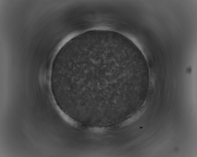 X0000096651245200802051147