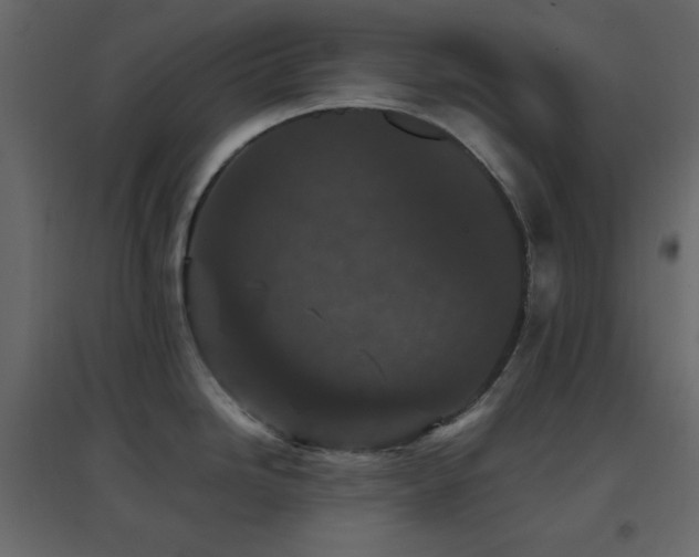 X0000096651246200802051147