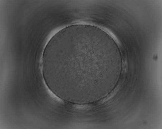 X0000096651247200802051147