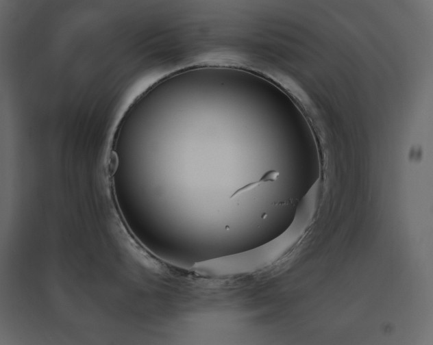 X0000096651248200802051147