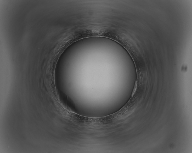 X0000096651249200802051146