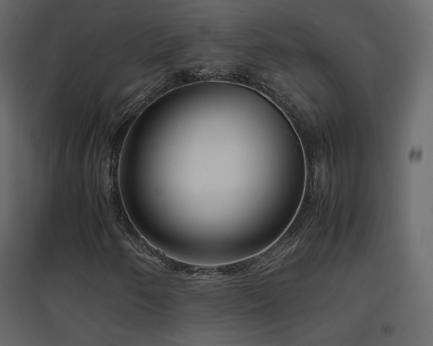 X0000096651250200802051146