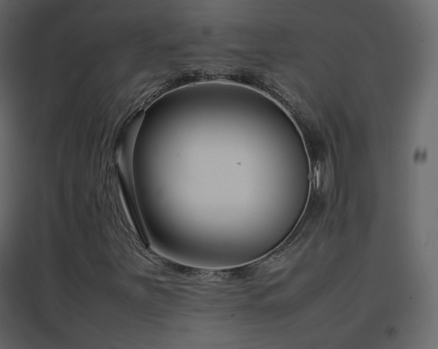 X0000096651251200802051146
