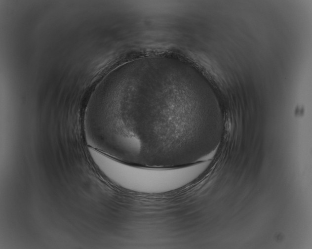 X0000096651252200802051146