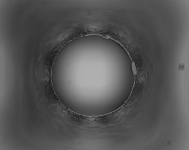 X0000096651253200802051146