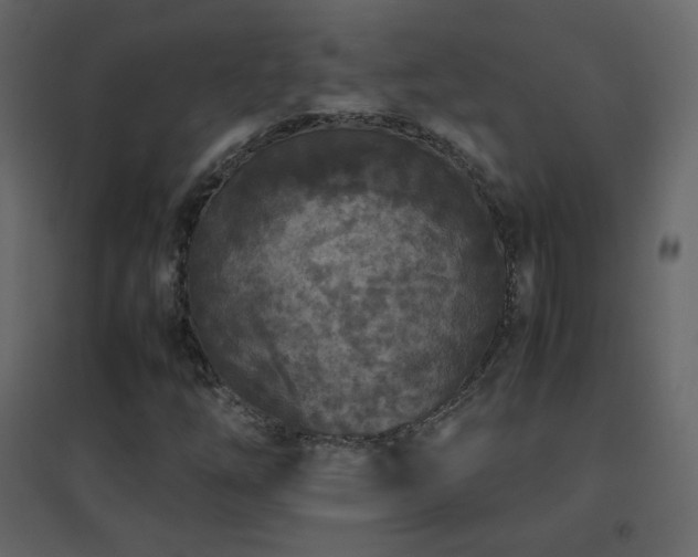 X0000096651254200802051146