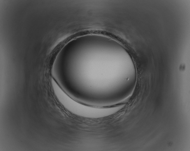 X0000096651255200802051146