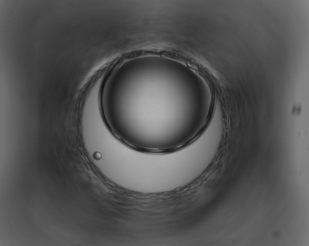 X0000096651256200802051146