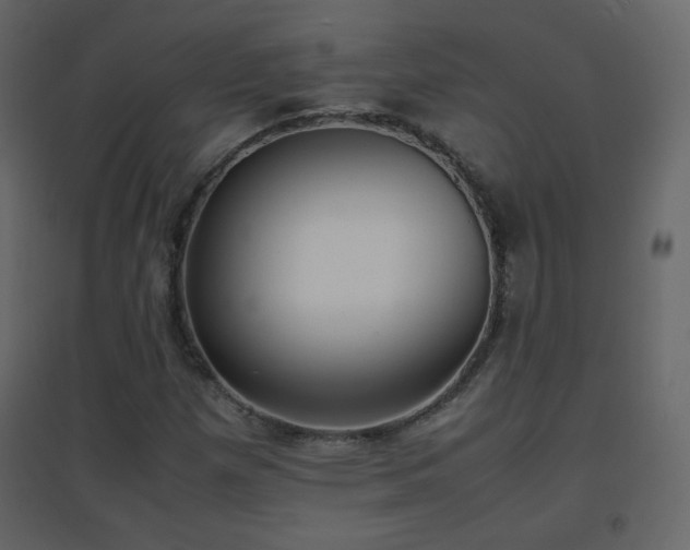 X0000096651257200802051146