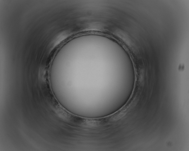 X0000096651258200802051146