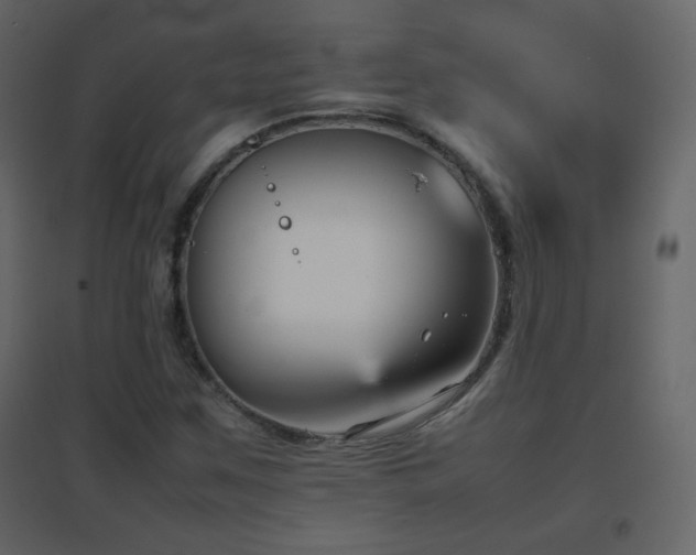 X0000096651259200802051146