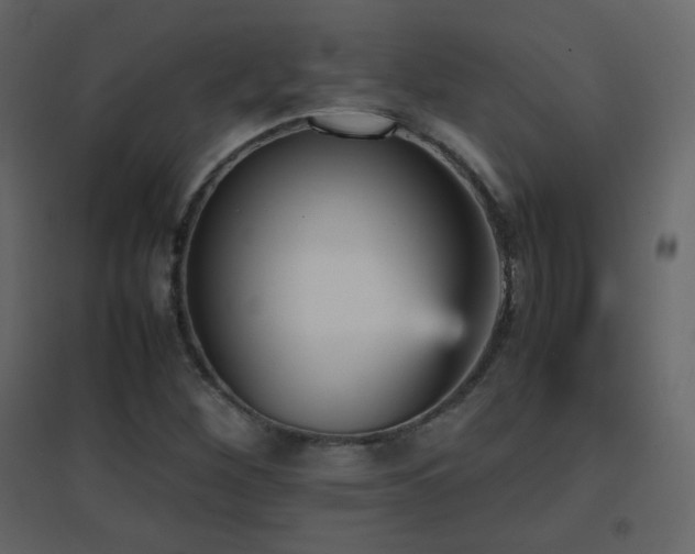 X0000096651260200802051146