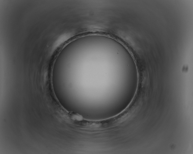 X0000096651261200802051146