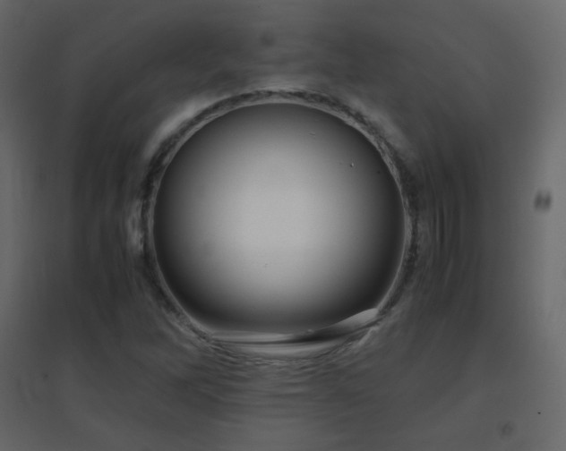 X0000096651262200802051146