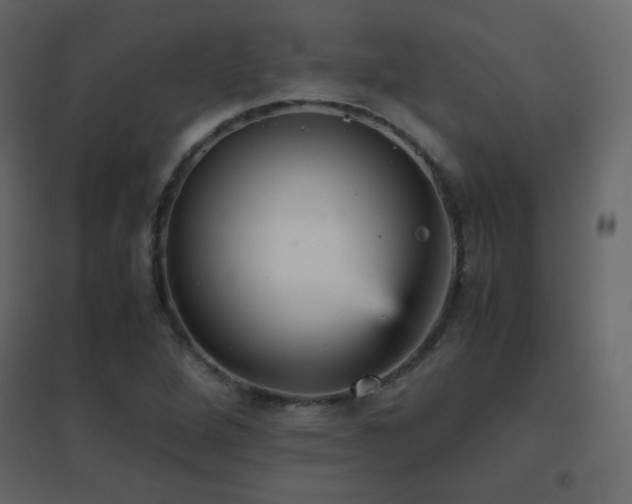 X0000096651264200802051146