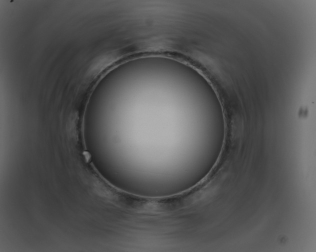X0000096651265200802051146