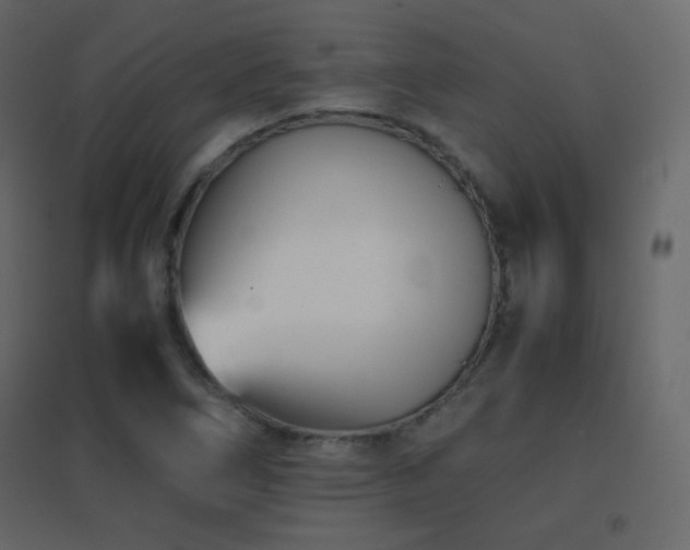 X0000096651266200802051146