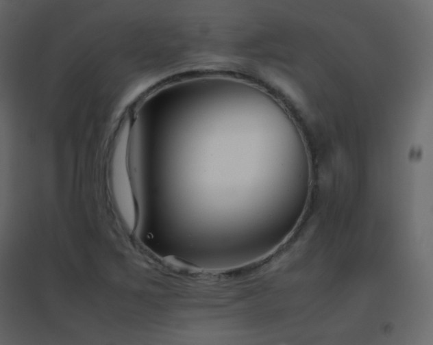 X0000096651267200802051146