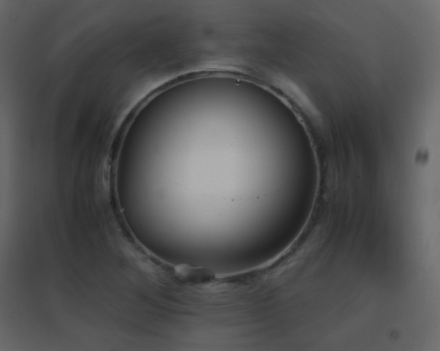X0000096651268200802051146