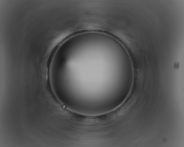 X0000096651269200802051146