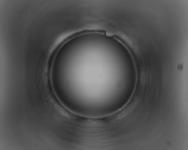 X0000096651270200802051146