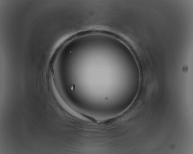 X0000096651271200802051146