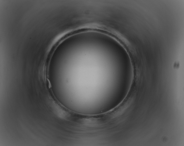 X0000096651272200802051146