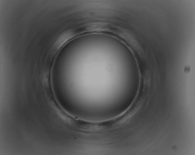 X0000096651273200802051146