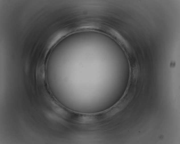 X0000096651274200802051146