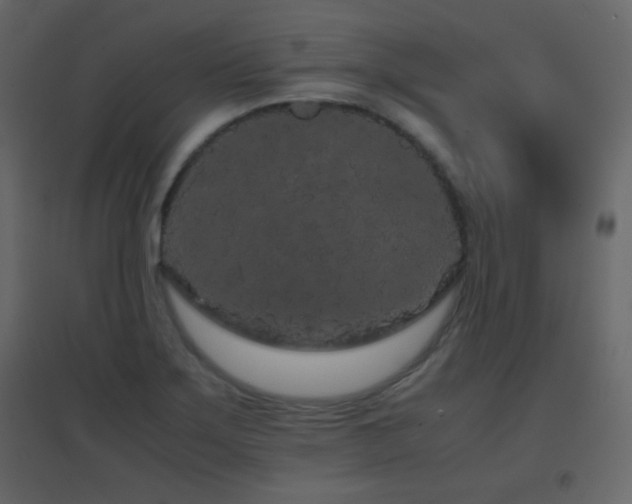 X0000096651275200802051146
