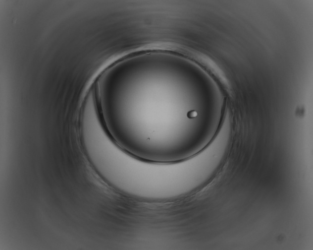 X0000096651276200802051146