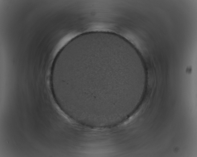 X0000096651277200802051146