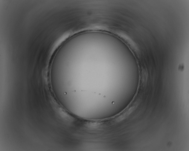 X0000096651278200802051146