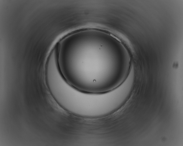 X0000096651280200802051146