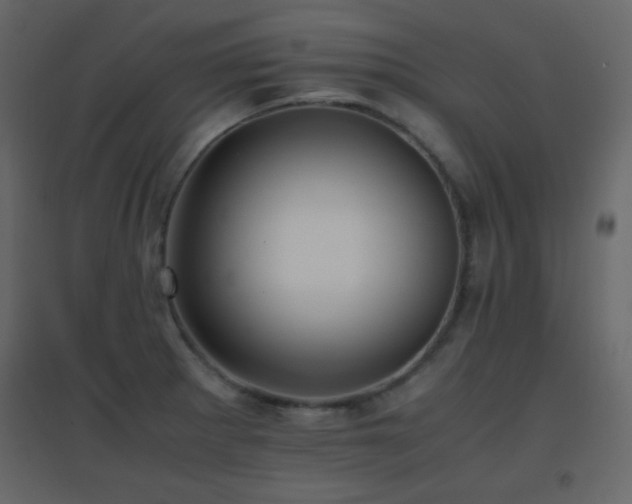 X0000096651281200802051146