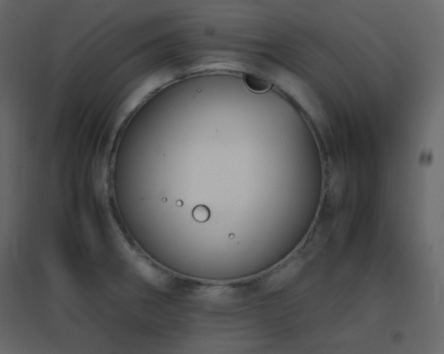 X0000096651282200802051146