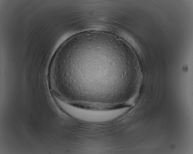 X0000096651283200802051146