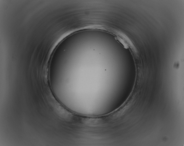 X0000096651284200802051146