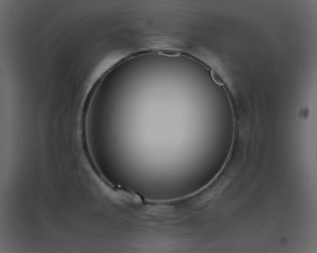 X0000096651285200802051146