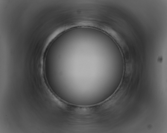 X0000096651286200802051146