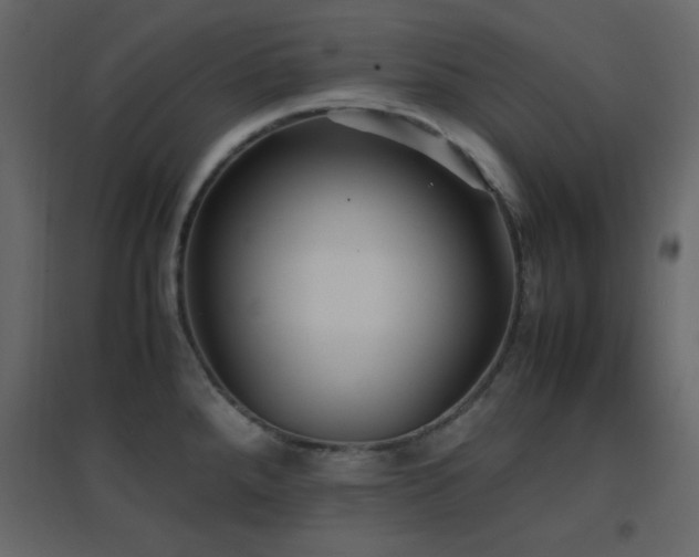 X0000096651288200802051146