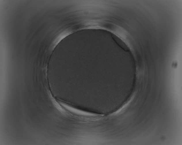 X0000096651289200802051146