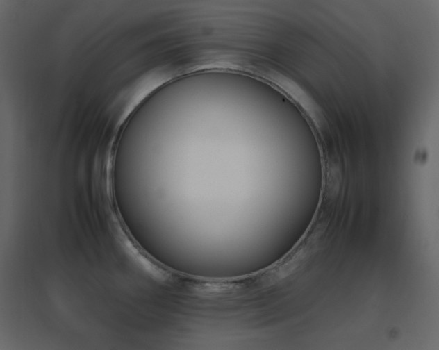 X0000096651290200802051146