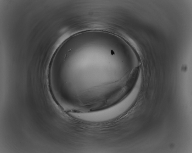 X0000096651291200802051146