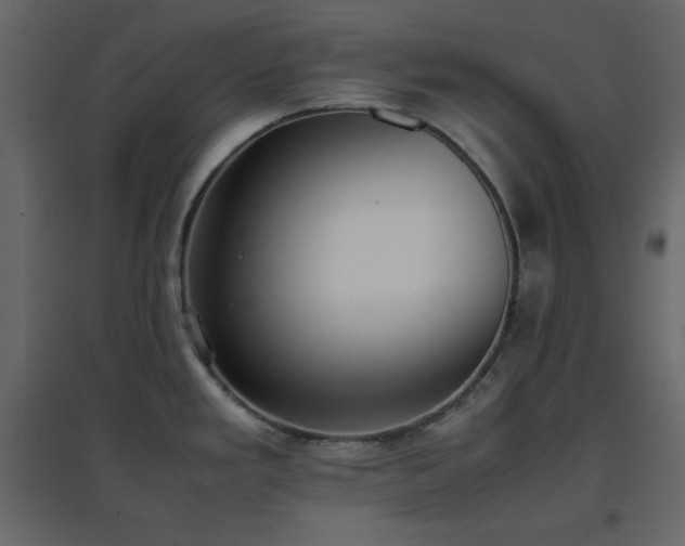 X0000096651293200802051146