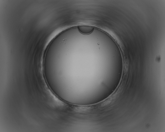X0000096651294200802051146