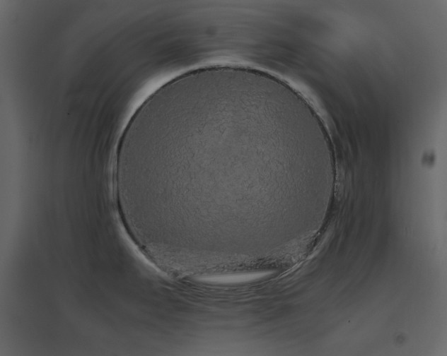 X0000096651295200802051146