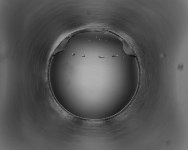 X0000096651296200802051146